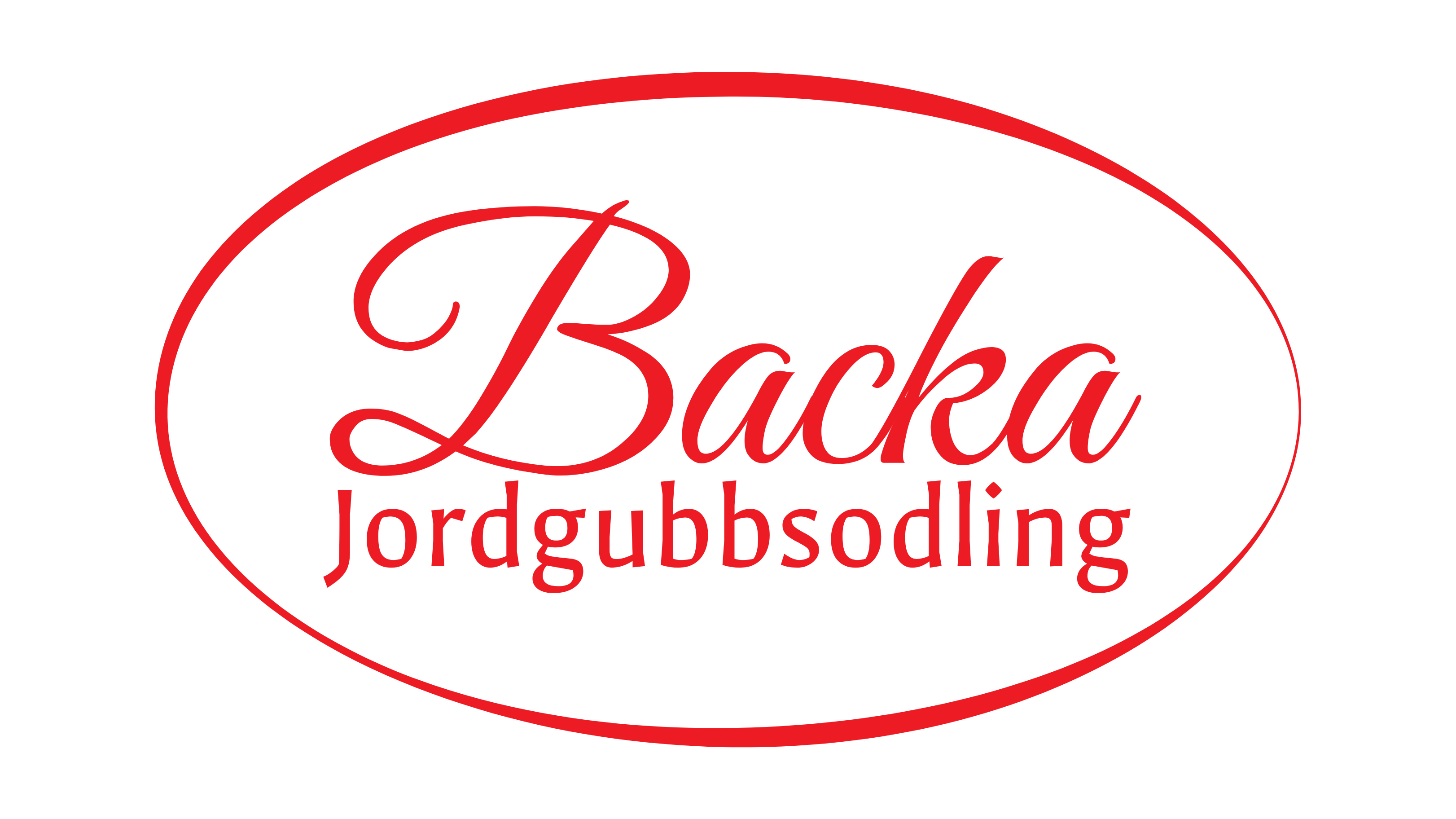 Backa jordgubbsodling