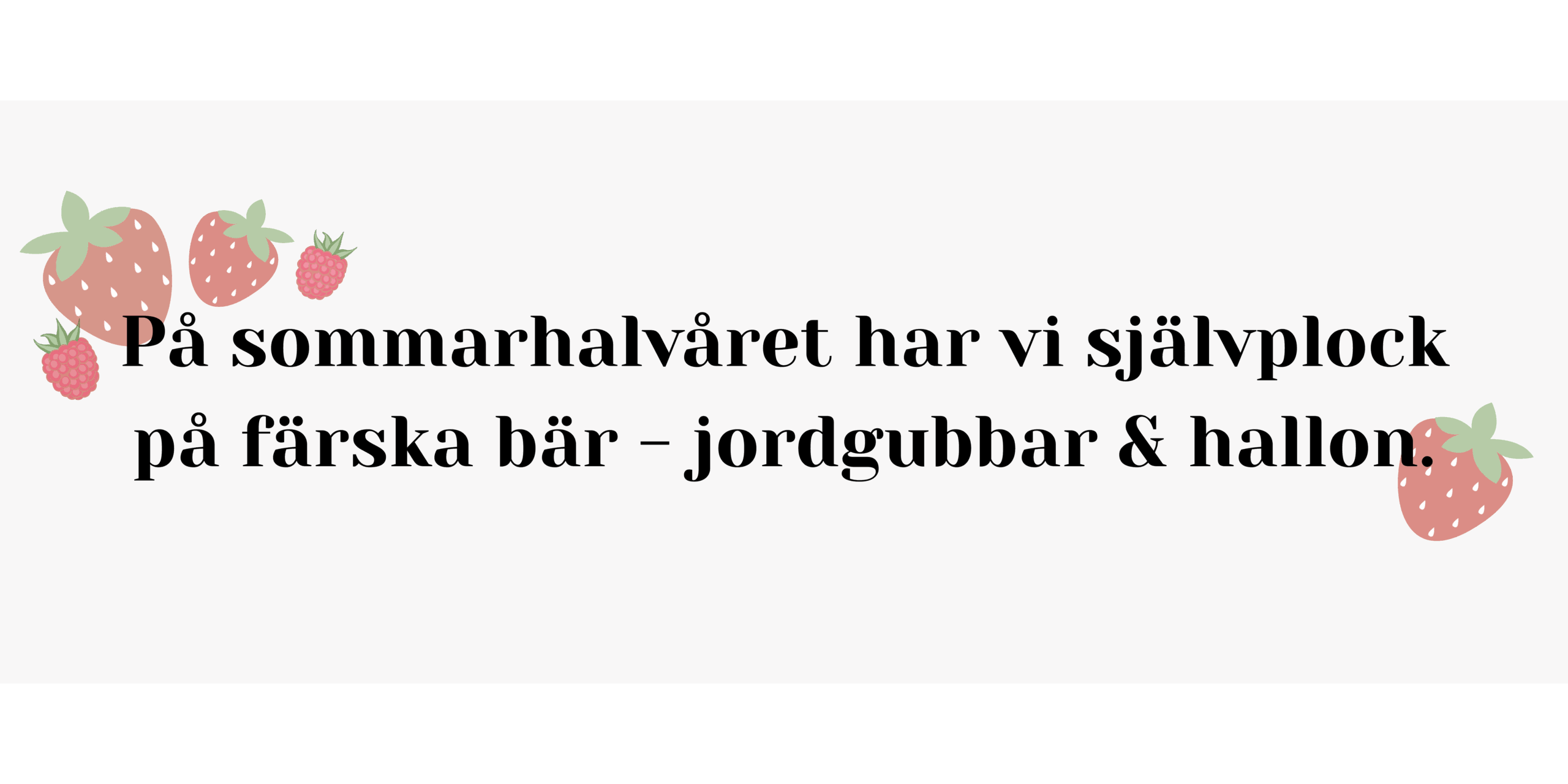 På sommarhalvåret har vi självplock på färska bär - jordgubbar och hallon.