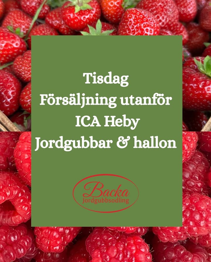 Backa Jordgubbsodling