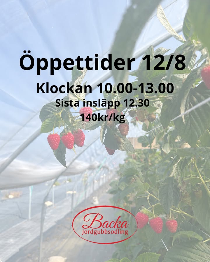 Backa Jordgubbsodling