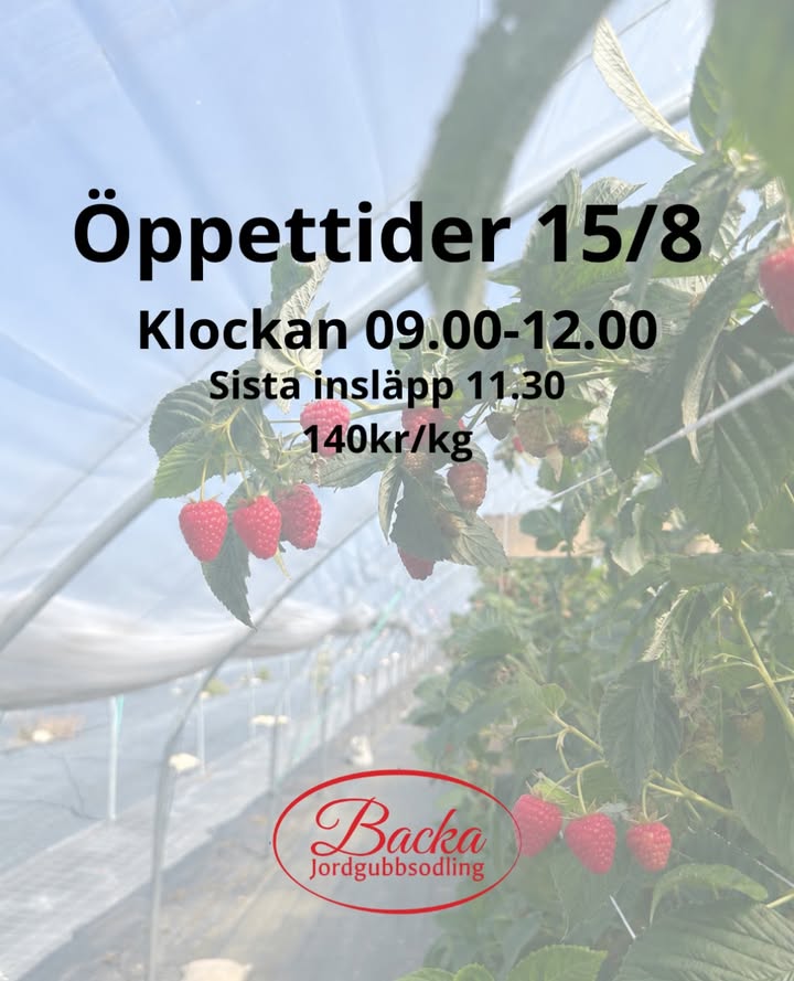 Backa Jordgubbsodling