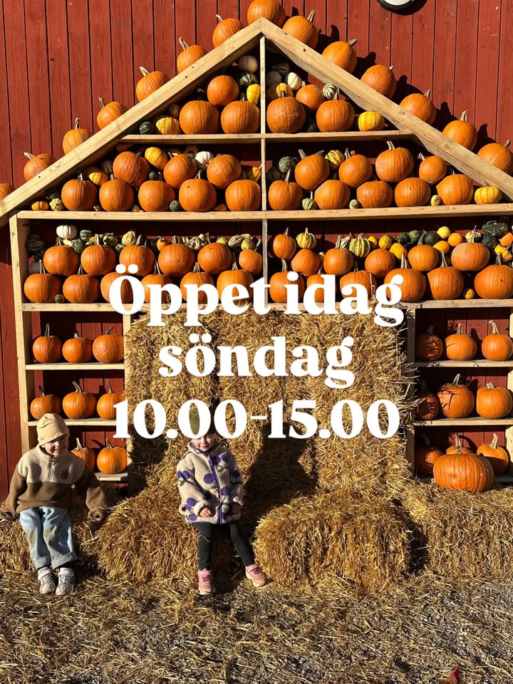 Backa Jordgubbsodling