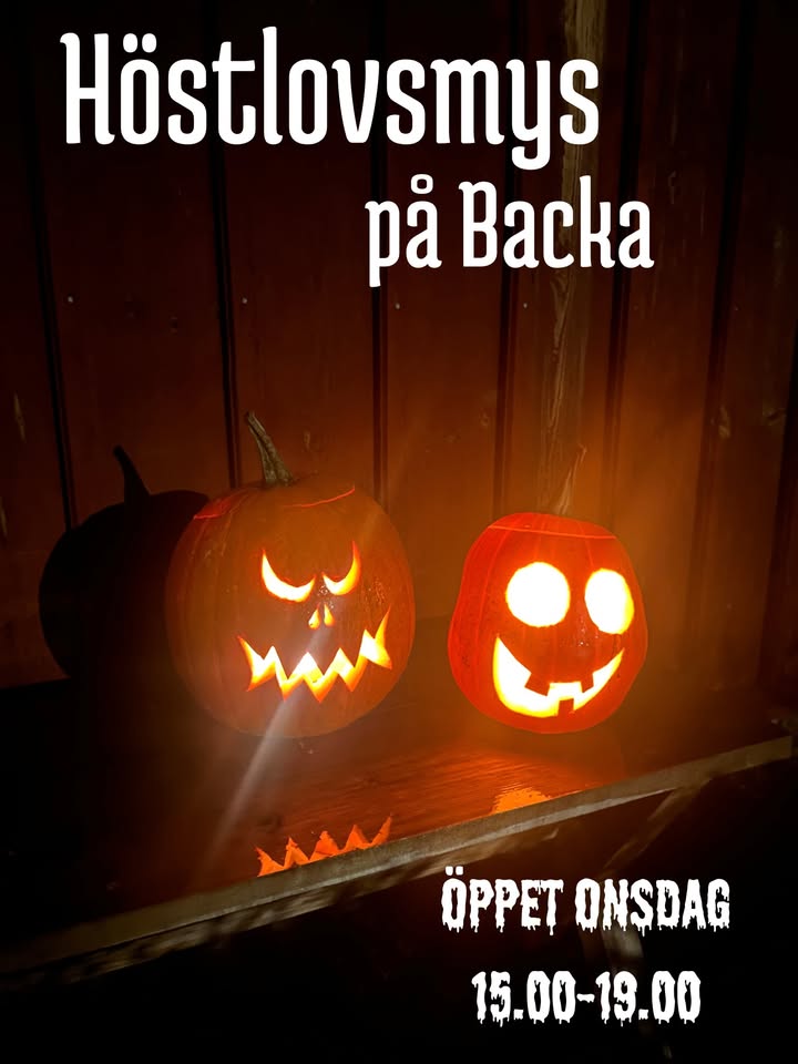 Backa Jordgubbsodling